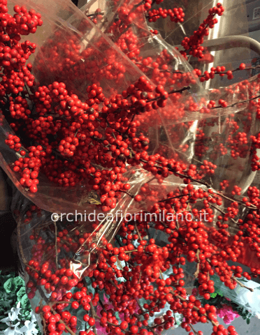 ILEX “ rami di bacche rosse h.100cm