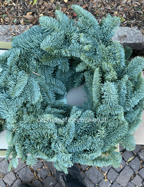 Ghirlanda natalizio di Pino cm 30