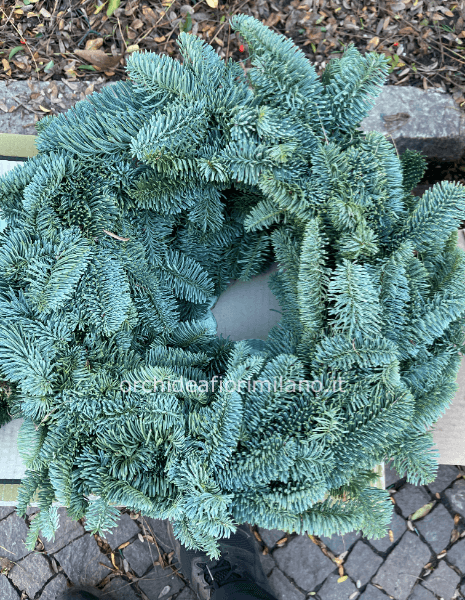 Ghirlanda di Pino 50 cm